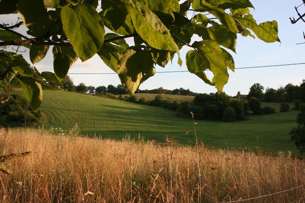 Domaine De Romefort Saint-Léonard-de-Noblat Стая снимка