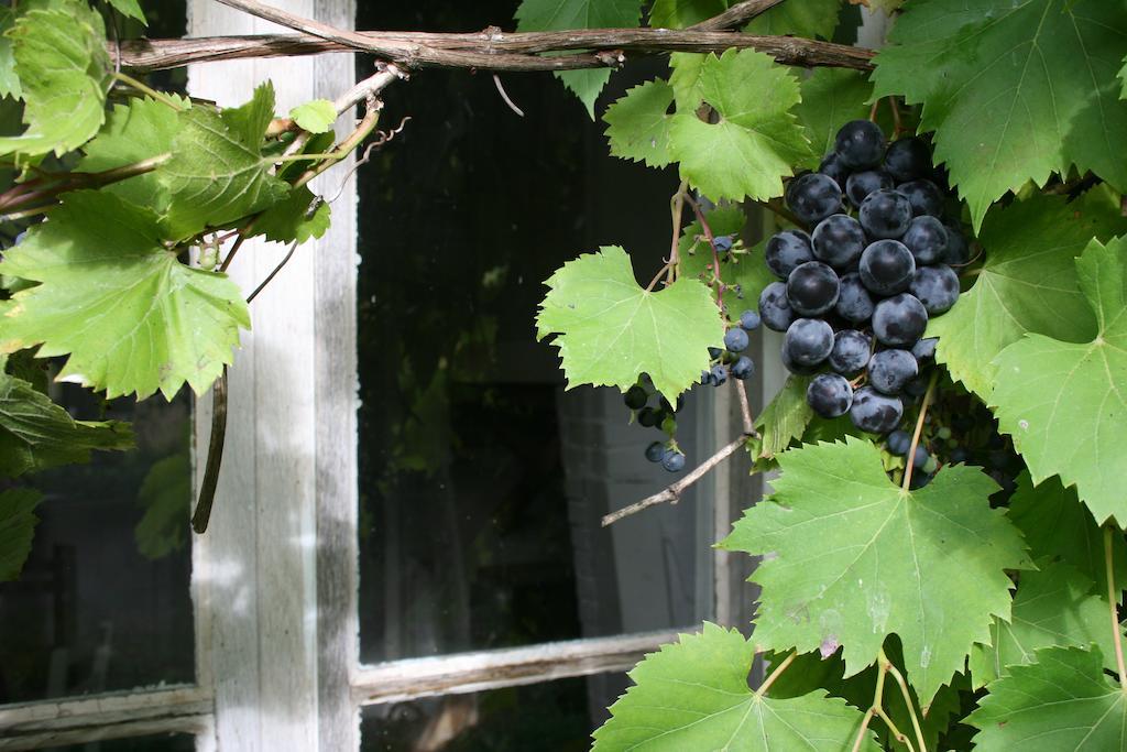 Domaine De Romefort Saint-Léonard-de-Noblat Стая снимка